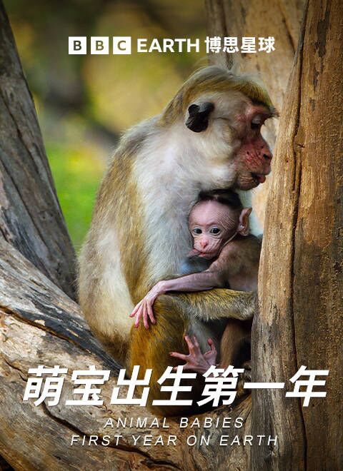 萌宝出生第一年（Animal Babies: First Year on Earth ）