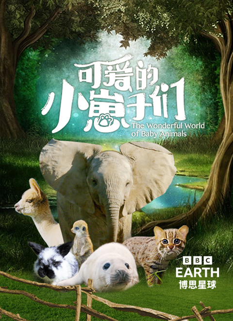 可爱的小崽子们（The Wonderful World of Baby Animals）