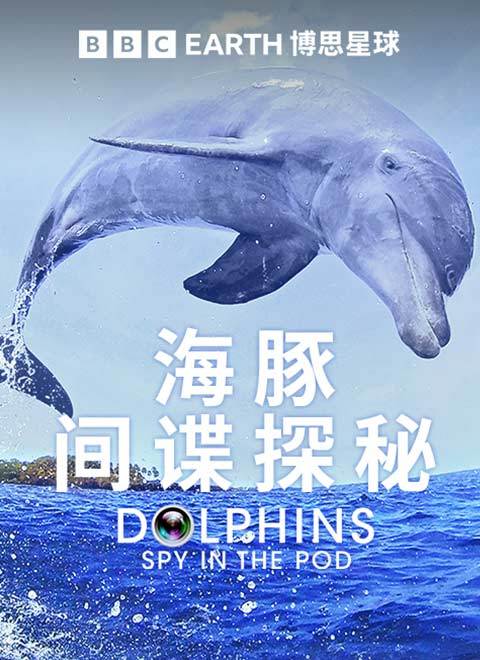 海豚-间谍探秘（Dolphins - Spy in the Pod）