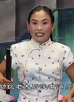 河南坠子《恶媳妇打婆婆》胡银花井照鑫