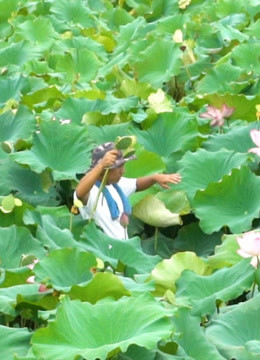 野食小哥