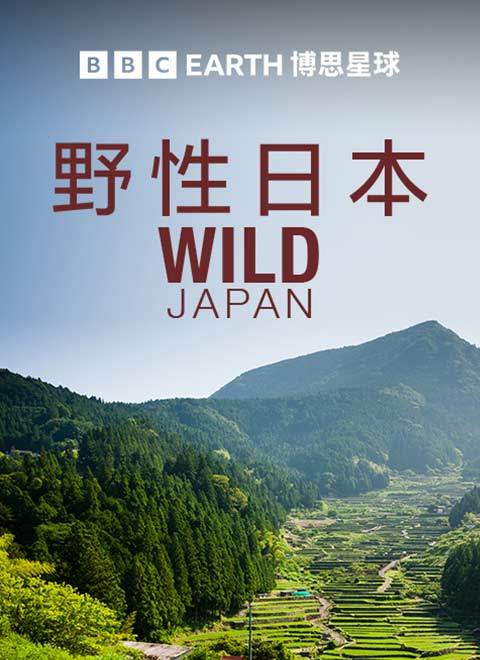 野性日本（Wild Japan）