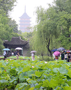 晴雨梅天