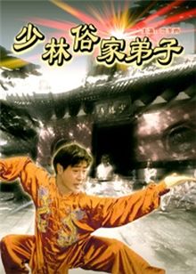 少林俗家弟子