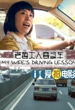 老婆大人要买车