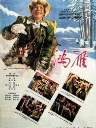 鸿雁（1960）